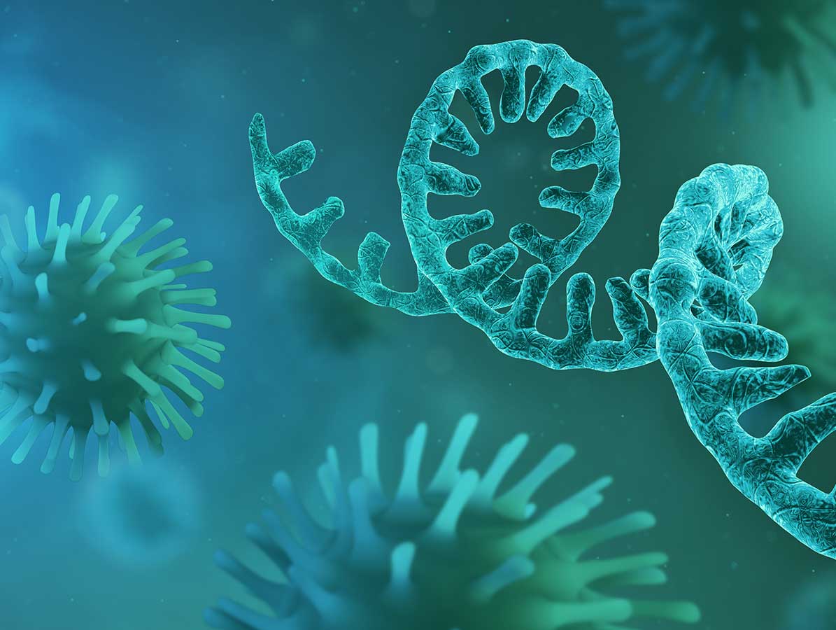 Predavanje “Biofizika diobenog vretena” dr.sc. Ive Tolić