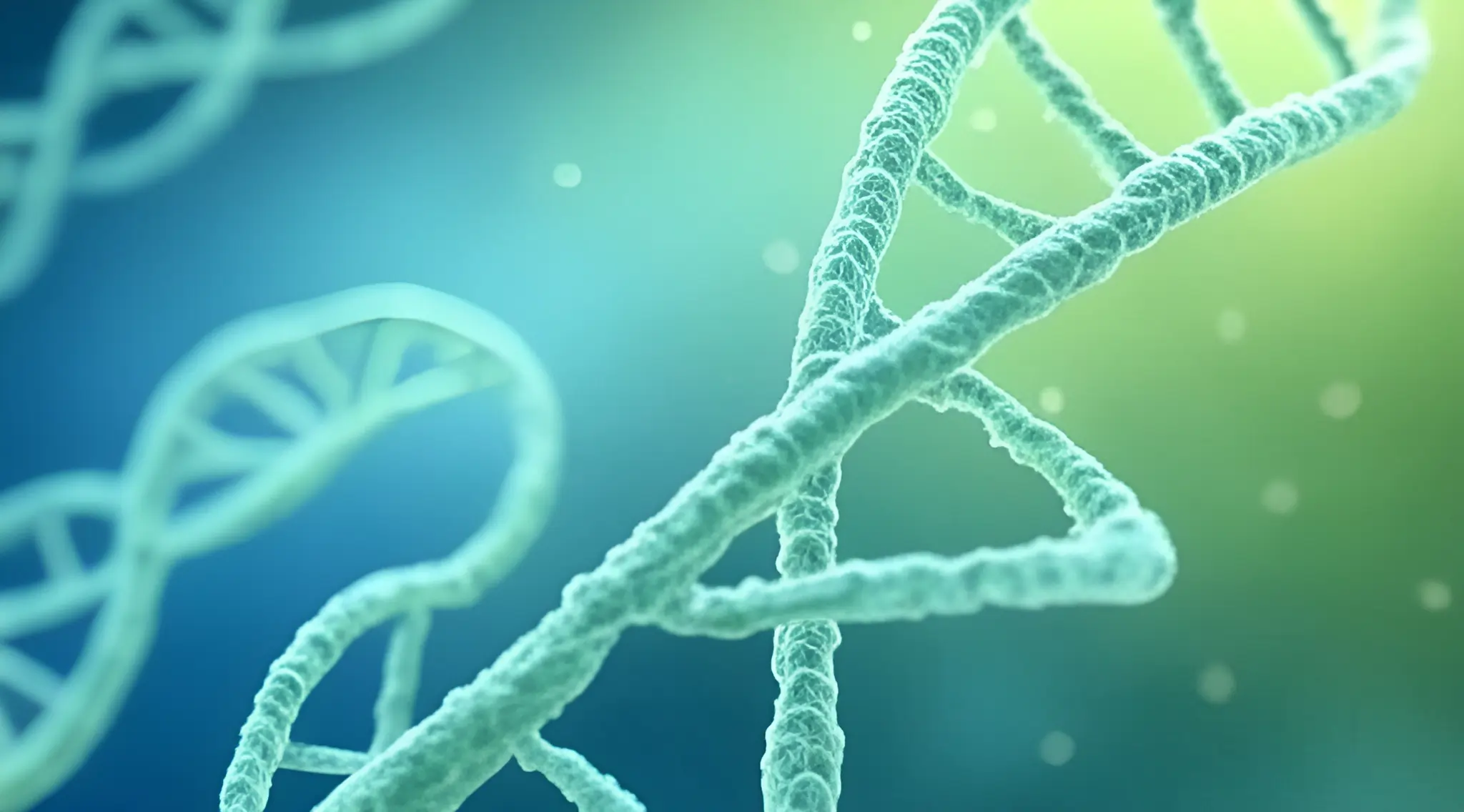 Izvanredna skupština 17.03.2025.